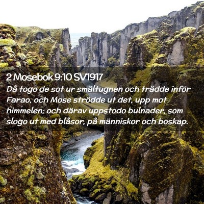 Picture 02 - 2 Mosebok 9:10 SV1917 - Då togo de sot ur smältugnen och trädde inför - Bible Verse Picture