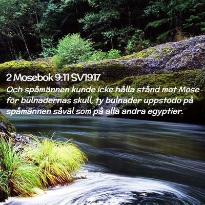 Picture 02 - 2 Mosebok 9:11 SV1917 - Och spåmännen kunde icke hålla stånd mot Mose - Bible Verse Picture