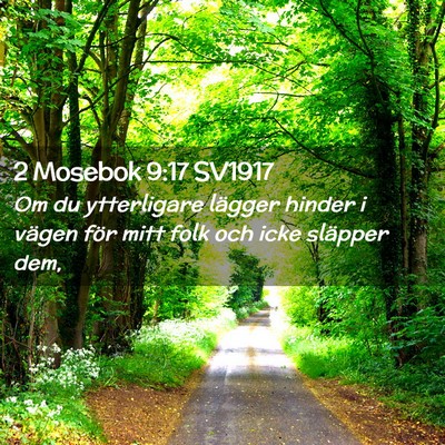 Picture 02 - 2 Mosebok 9:17 SV1917 - Om du ytterligare lägger hinder i vägen för - Bible Verse Picture