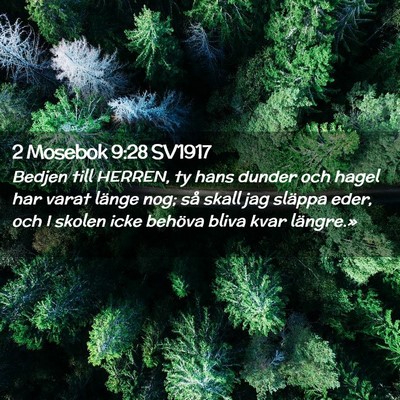 Picture 02 - 2 Mosebok 9:28 SV1917 - Bedjen till HERREN, ty hans dunder och hagel har - Bible Verse Picture