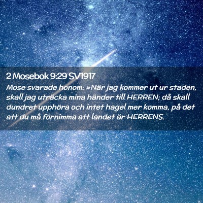 Picture 02 - 2 Mosebok 9:29 SV1917 - Mose svarade honom: »När jag kommer ut ur - Bible Verse Picture