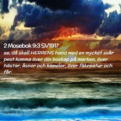Picture 02 - 2 Mosebok 9:3 SV1917 - se, då skall HERRENS hand med en mycket svår - Bible Verse Picture