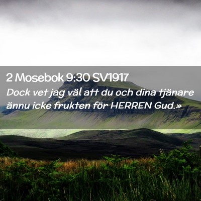 Picture 02 - 2 Mosebok 9:30 SV1917 - Dock vet jag väl att du och dina tjänare ännu - Bible Verse Picture
