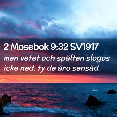 Picture 02 - 2 Mosebok 9:32 SV1917 - men vetet och spälten slogos icke ned, ty de - Bible Verse Picture