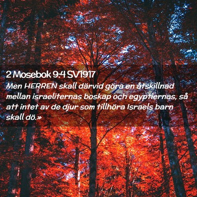 Picture 02 - 2 Mosebok 9:4 SV1917 - Men HERREN skall därvid göra en åtskillnad - Bible Verse Picture