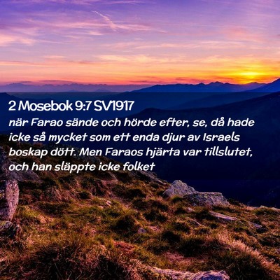 Picture 02 - 2 Mosebok 9:7 SV1917 - när Farao sände och hörde efter, se, då hade - Bible Verse Picture