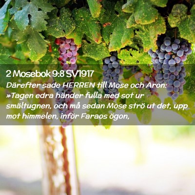 Picture 02 - 2 Mosebok 9:8 SV1917 - Därefter sade HERREN till Mose och Aron: »Tagen - Bible Verse Picture