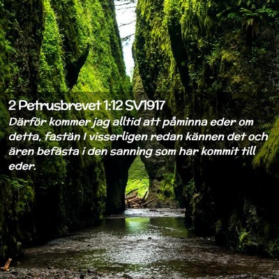 Picture 02 - 2 Petrusbrevet 1:12 SV1917 - Därför kommer jag alltid att påminna eder om - Bible Verse Picture