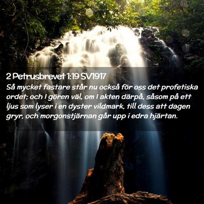 Picture 02 - 2 Petrusbrevet 1:19 SV1917 - Så mycket fastare står nu också för oss det - Bible Verse Picture