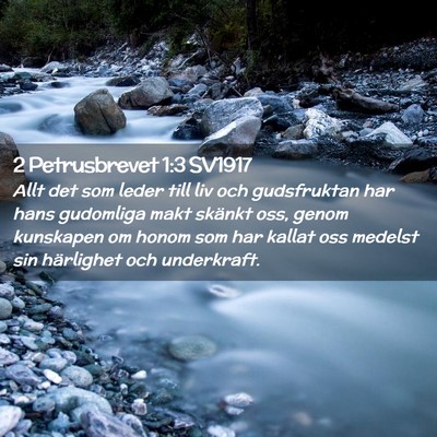 Picture 02 - 2 Petrusbrevet 1:3 SV1917 - Allt det som leder till liv och gudsfruktan har - Bible Verse Picture