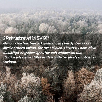 Picture 02 - 2 Petrusbrevet 1:4 SV1917 - Genom dem har han ock skänkt oss sina dyrbara - Bible Verse Picture