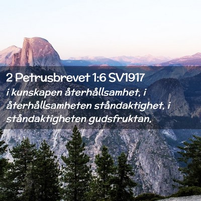 Picture 02 - 2 Petrusbrevet 1:6 SV1917 - i kunskapen återhållsamhet, i - Bible Verse Picture