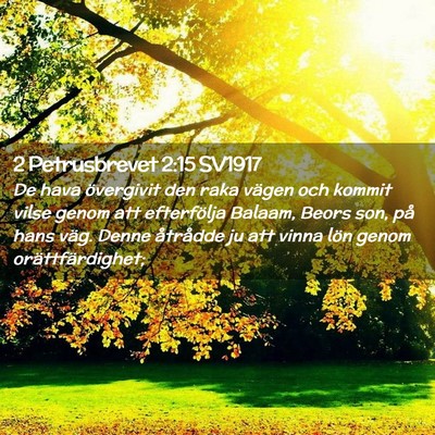 Picture 02 - 2 Petrusbrevet 2:15 SV1917 - De hava övergivit den raka vägen och kommit - Bible Verse Picture