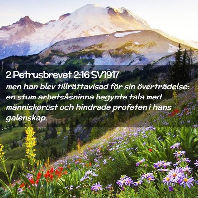 Picture 02 - 2 Petrusbrevet 2:16 SV1917 - men han blev tillrättavisad för sin - Bible Verse Picture