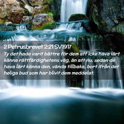 Picture 02 - 2 Petrusbrevet 2:21 SV1917 - Ty det hade varit bättre för dem att icke hava - Bible Verse Picture