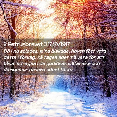 Picture 02 - 2 Petrusbrevet 3:17 SV1917 - Då I nu således, mina älskade, haven fått - Bible Verse Picture