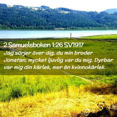 Picture 02 - 2 Samuelsboken 1:26 SV1917 - Jag sörjer över dig, du min broder Jonatan; - Bible Verse Picture