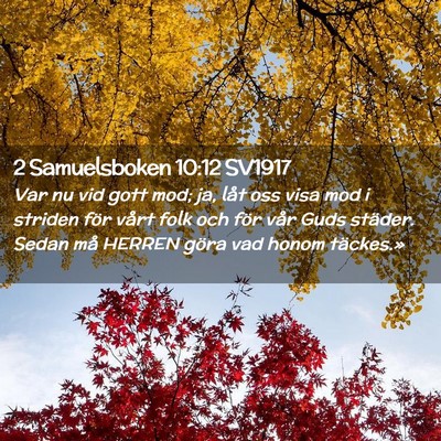 Picture 02 - 2 Samuelsboken 10:12 SV1917 - Var nu vid gott mod; ja, låt oss visa mod i - Bible Verse Picture