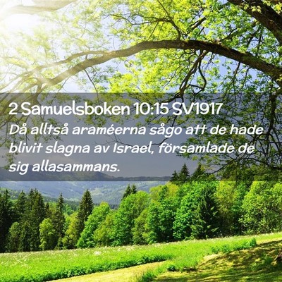 Picture 02 - 2 Samuelsboken 10:15 SV1917 - Då alltså araméerna sågo att de hade blivit - Bible Verse Picture