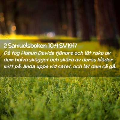 Picture 02 - 2 Samuelsboken 10:4 SV1917 - Då tog Hanun Davids tjänare och lät raka av - Bible Verse Picture