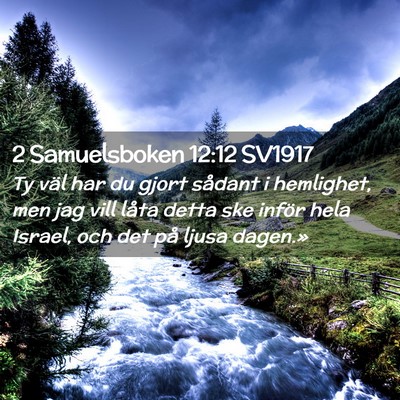 Picture 02 - 2 Samuelsboken 12:12 SV1917 - Ty väl har du gjort sådant i hemlighet, men jag - Bible Verse Picture