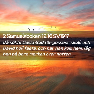 Picture 02 - 2 Samuelsboken 12:16 SV1917 - Då sökte David Gud för gossens skull; och - Bible Verse Picture