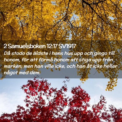 Picture 02 - 2 Samuelsboken 12:17 SV1917 - Då stodo de äldste i hans hus upp och gingo - Bible Verse Picture