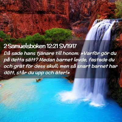 Picture 02 - 2 Samuelsboken 12:21 SV1917 - Då sade hans tjänare till honom: »Varför gör - Bible Verse Picture