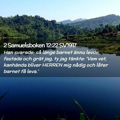 Picture 02 - 2 Samuelsboken 12:22 SV1917 - Han svarade: så länge barnet ännu levde, - Bible Verse Picture