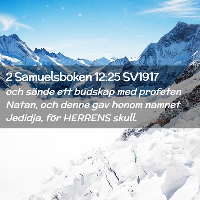 Picture 02 - 2 Samuelsboken 12:25 SV1917 - och sände ett budskap med profeten Natan, och - Bible Verse Picture