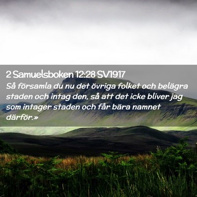 Picture 02 - 2 Samuelsboken 12:28 SV1917 - Så församla du nu det övriga folket och - Bible Verse Picture