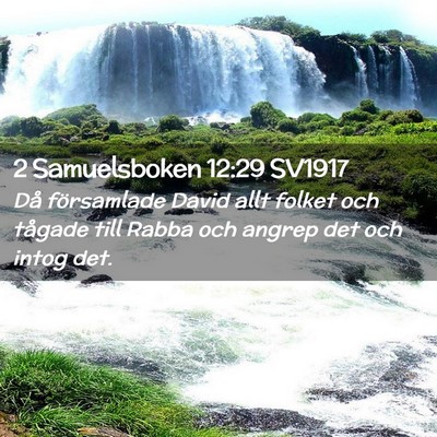 Picture 02 - 2 Samuelsboken 12:29 SV1917 - Då församlade David allt folket och tågade - Bible Verse Picture
