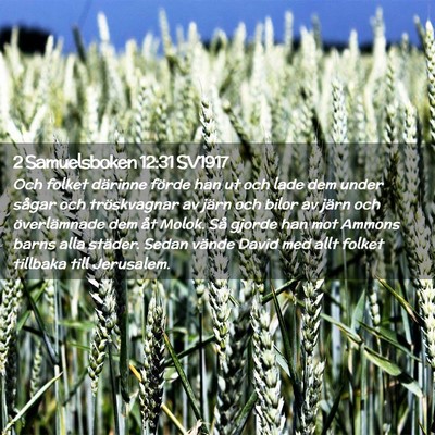 Picture 02 - 2 Samuelsboken 12:31 SV1917 - Och folket därinne förde han ut och lade dem - Bible Verse Picture