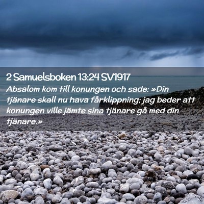 Picture 02 - 2 Samuelsboken 13:24 SV1917 - Absalom kom till konungen och sade: »Din - Bible Verse Picture