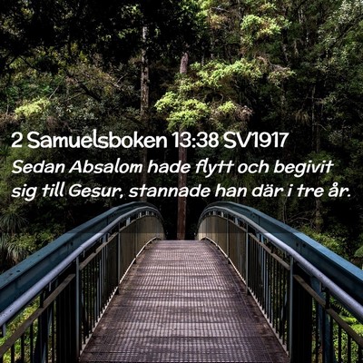 Picture 02 - 2 Samuelsboken 13:38 SV1917 - Sedan Absalom hade flytt och begivit sig till - Bible Verse Picture