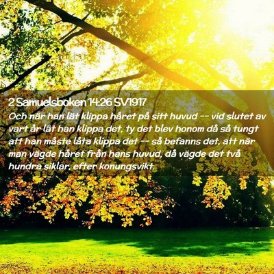 Picture 02 - 2 Samuelsboken 14:26 SV1917 - Och när han lät klippa håret på sitt huvud -- - Bible Verse Picture