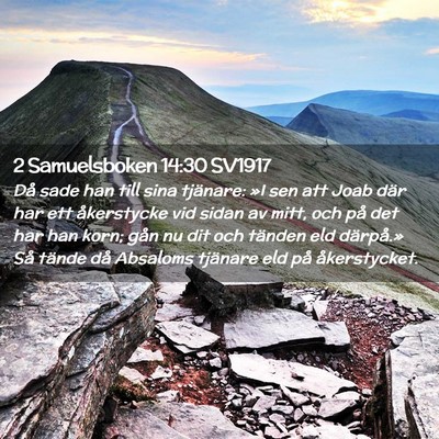 Picture 02 - 2 Samuelsboken 14:30 SV1917 - Då sade han till sina tjänare: »I sen att Joab - Bible Verse Picture