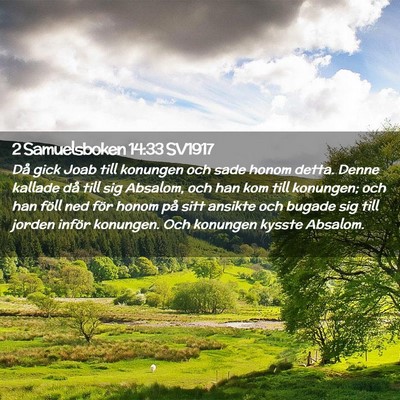 Picture 02 - 2 Samuelsboken 14:33 SV1917 - Då gick Joab till konungen och sade honom detta. - Bible Verse Picture