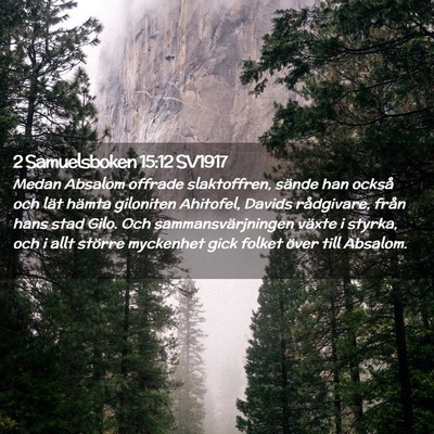 Picture 02 - 2 Samuelsboken 15:12 SV1917 - Medan Absalom offrade slaktoffren, sände han - Bible Verse Picture