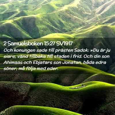 Picture 02 - 2 Samuelsboken 15:27 SV1917 - Och konungen sade till prästen Sadok: »Du är - Bible Verse Picture