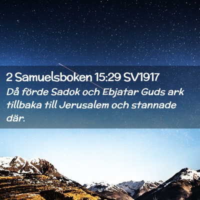 Picture 02 - 2 Samuelsboken 15:29 SV1917 - Då förde Sadok och Ebjatar Guds ark tillbaka - Bible Verse Picture