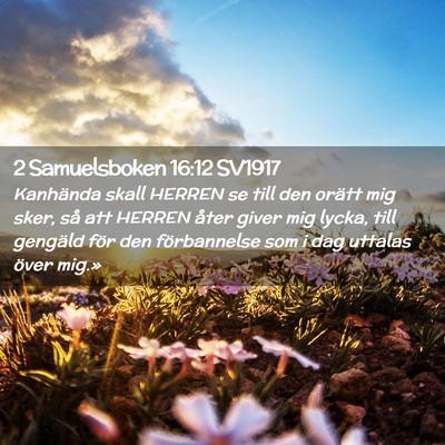 Picture 02 - 2 Samuelsboken 16:12 SV1917 - Kanhända skall HERREN se till den orätt mig - Bible Verse Picture