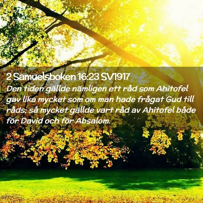 Picture 02 - 2 Samuelsboken 16:23 SV1917 - Den tiden gällde nämligen ett råd som Ahitofel - Bible Verse Picture