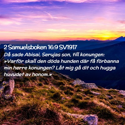 Picture 02 - 2 Samuelsboken 16:9 SV1917 - Då sade Abisai, Serujas son, till konungen: - Bible Verse Picture