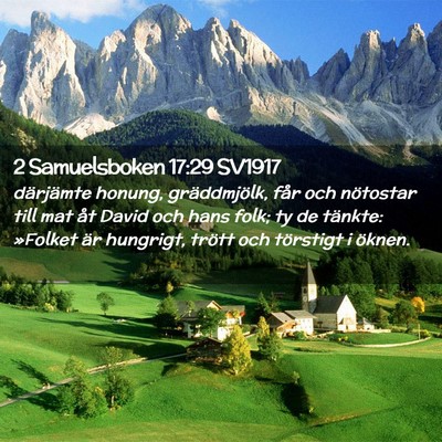Picture 02 - 2 Samuelsboken 17:29 SV1917 - därjämte honung, gräddmjölk, får och - Bible Verse Picture