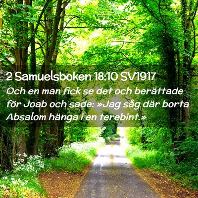 Picture 02 - 2 Samuelsboken 18:10 SV1917 - Och en man fick se det och berättade för Joab - Bible Verse Picture