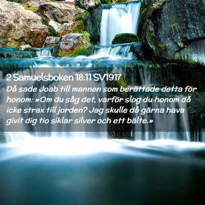 Picture 02 - 2 Samuelsboken 18:11 SV1917 - Då sade Joab till mannen som berättade detta - Bible Verse Picture