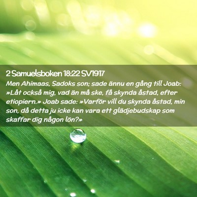 Picture 02 - 2 Samuelsboken 18:22 SV1917 - Men Ahimaas, Sadoks son; sade ännu en gång till - Bible Verse Picture