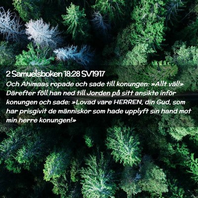 Picture 02 - 2 Samuelsboken 18:28 SV1917 - Och Ahimaas ropade och sade till konungen: »Allt - Bible Verse Picture