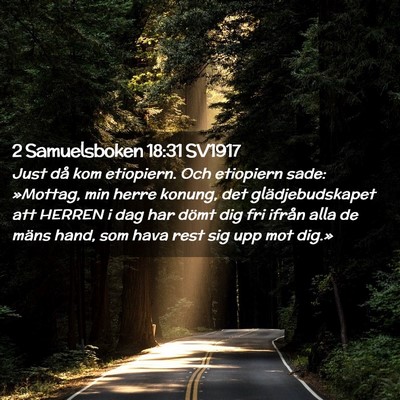 Picture 02 - 2 Samuelsboken 18:31 SV1917 - Just då kom etiopiern. Och etiopiern sade: - Bible Verse Picture